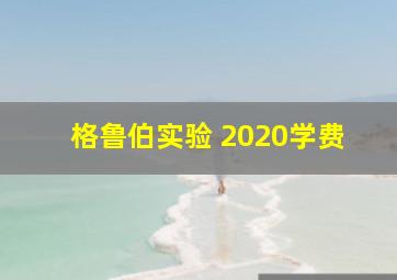 格鲁伯实验 2020学费